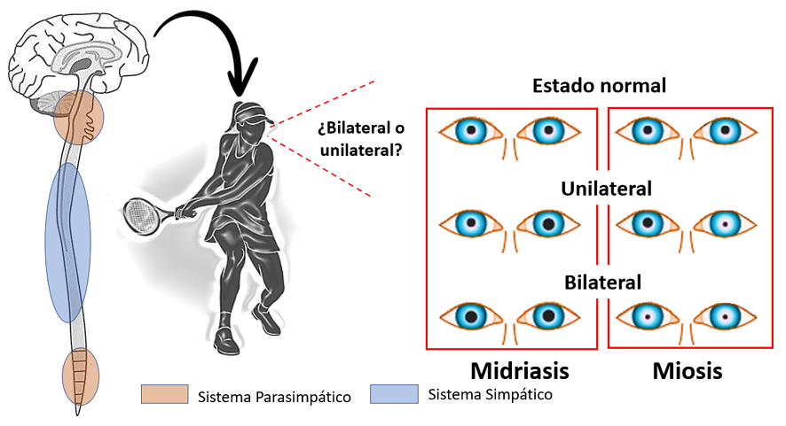 Diagrama

Descripción generada automáticamente